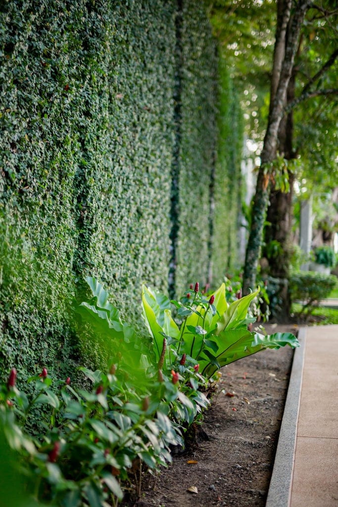 70 villa talaefun 72