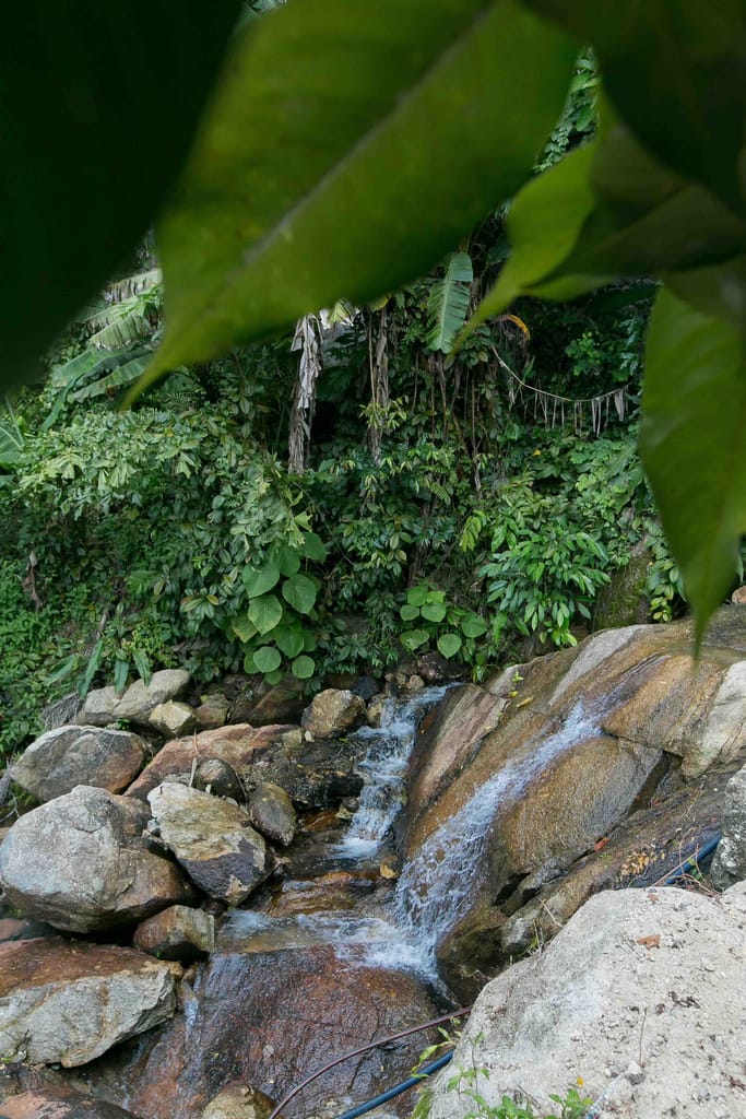 36 villa cascade garden 8