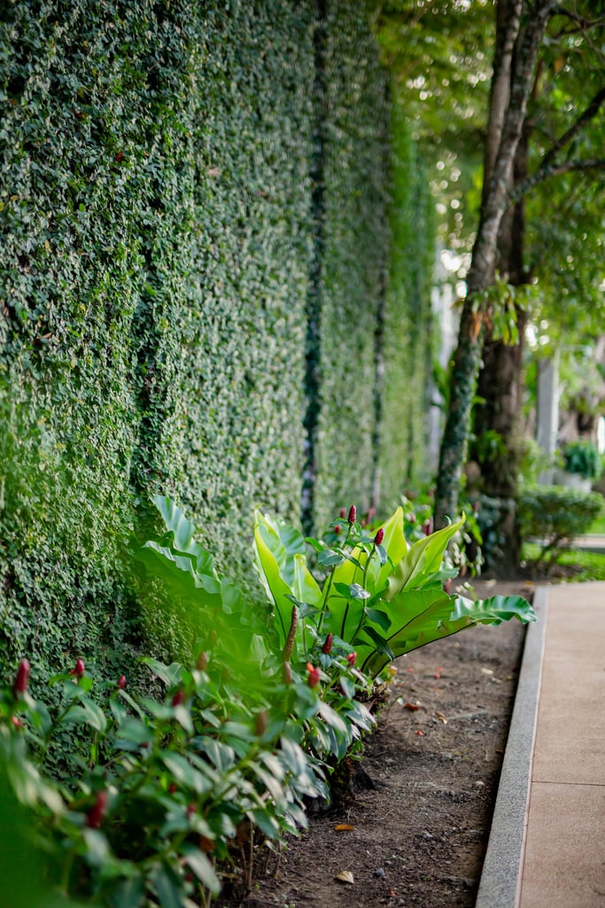 70 villa talaefun 72