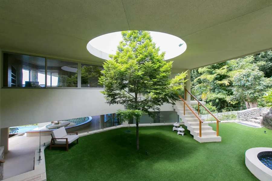 Courtyard garden, tree and skylight