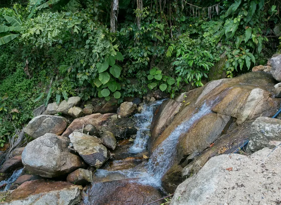 Natural cascade beside the garden